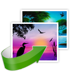 Digital Picture Recovery